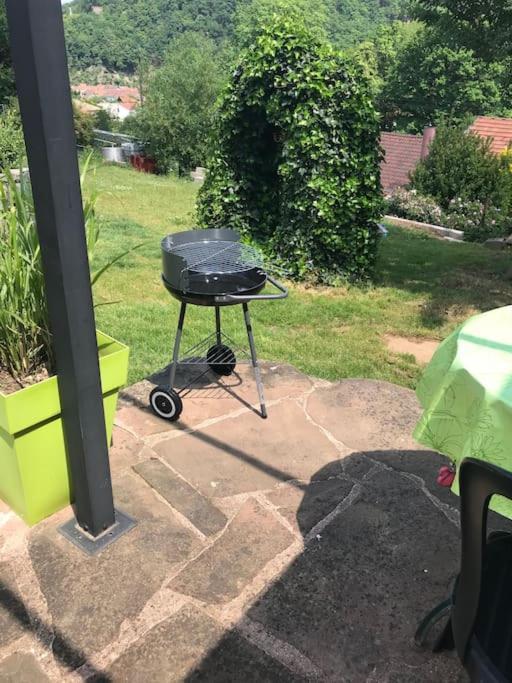 Gite Des Renards La Broque Extérieur photo