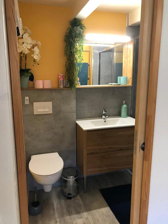 Gite Des Renards La Broque Extérieur photo